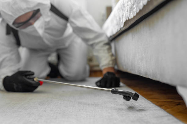 Professional Bed Bug Control technician working in Helena West Side, MT