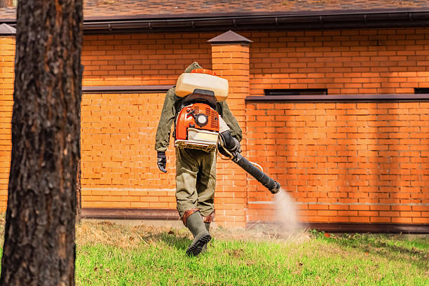 Trusted Bed Bug Control service in Helena West Side, MT - Nex Pest Control
